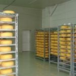 Cheese processing