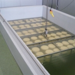 Cheese processing