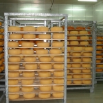 Cheese processing