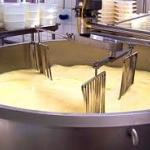 Cheese processing