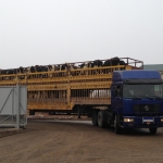 Kazachstan, DFP 750 cows 