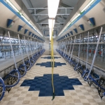 Kazachstan, DFP 750 cows 