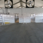 Kazachstan, DFP 750 cows 