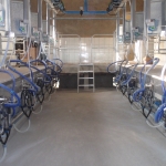 Milking parlours