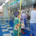 Side by side milking parlour