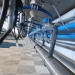 Side by side milking parlour