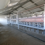 Side by side milking parlour