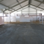 Side by side milking parlour