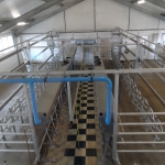 Side by side milking parlour