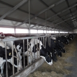 Stable equipment