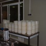 Milk processing plant Sudan