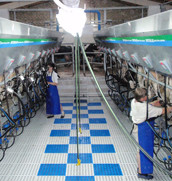 Milking equipment